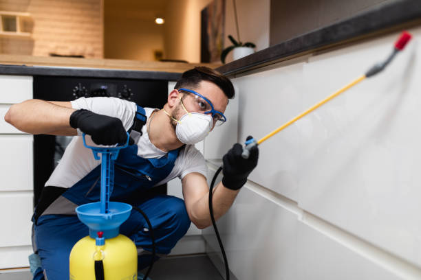 Best Bed Bug Extermination  in Middle Valley, TN