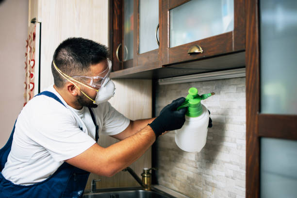 Best Residential Pest Control  in Middle Valley, TN