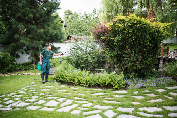 Best Commercial Pest Control Services  in Middle Valley, TN