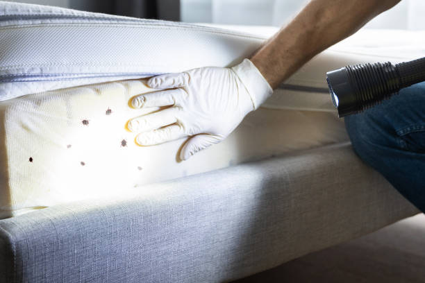 Best Pest Prevention Services  in Middle Valley, TN