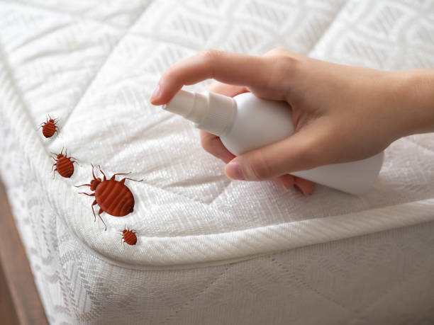 Reliable Middle Valley, TN Pest Control Solutions