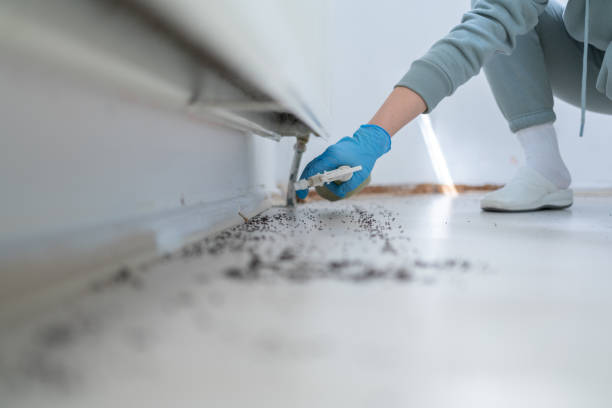 Pest Control Cost in Middle Valley, TN